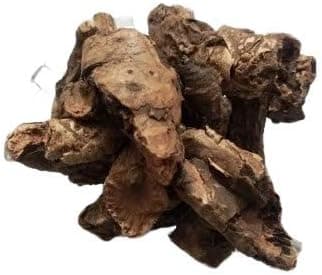 IndianJadiBooti Pashanbheda Roots, 100g | (Pack Of 2)