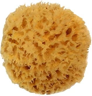 Natural Sea Wool Bath Sponge 4-12.7cm by Spa Destinations "Creating The In Home Spa Experience"