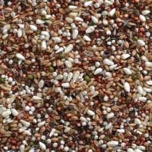 Buckton Pigeon Conditioner 20kg