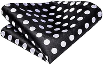 Hi-Tie Silk Paisley Necktie and Pocket Square Cufflinks Set