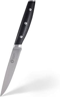 Kitchen Utility Knife with High Carbon Stainless Steel Blade and Triple Riveted Handles, Professional Chef Knife for Precision Cooking at Home, Perfectly Balanced, Razor Sharp, 24cm (9.5")