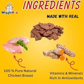 Chicken & Raw Turmeric Suger Glider Treat | Protein Rich | Fiber Rich | Crunchy Healthy Snacks | 30g