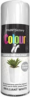 2x White Gloss All Purpose Aerosol Spray Paint 250ml Quick Drying Spray, Fast Dry and Excellent Coverage for Metal, Wood, Plastic and More by Diva Gift