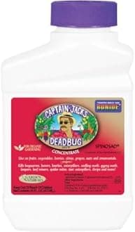 Bonide Captain Jack's Dead Bug Brew Conc. Pint