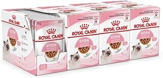 Kitten in Gravy Wet Food 85g (Pack of 48) * Multipack *