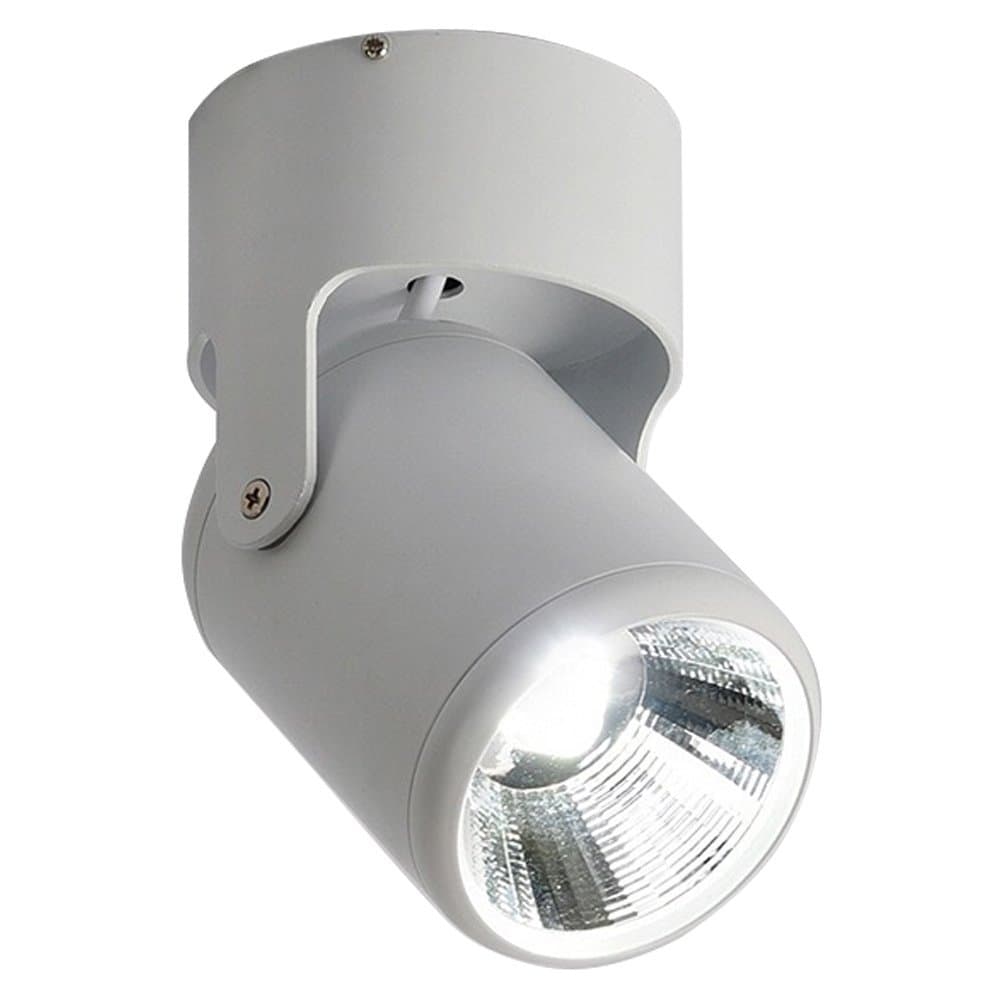 AolytyModern LED Ceiling Spotlight Downlight White Light 6000K 360°Adjustable Wall Accent Spotlight for Decoration Indoor Use Multiple Color (12W, White)