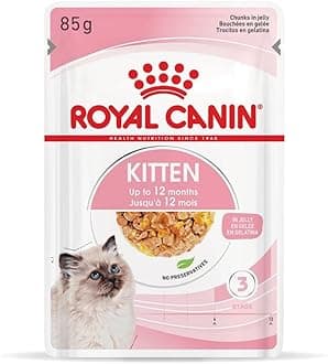 Kitten in Jelly Wet Pouches 85g (Pack of 48)