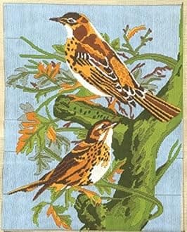 Premium Anchor Stitch Kit for Children to Adults Crafters, Long Stitch Kit with Beautiful 30 Cotton Skeins (Art - AIM3000-00032 - Feathered Friends)