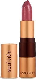 - Ayurvedic Lipstick - Colour Iced Plum 520, 4gm | Creamy Texture | Enriched with Organic Ghee & Almond Oil | Moistured & Nourished Lips | 4gm