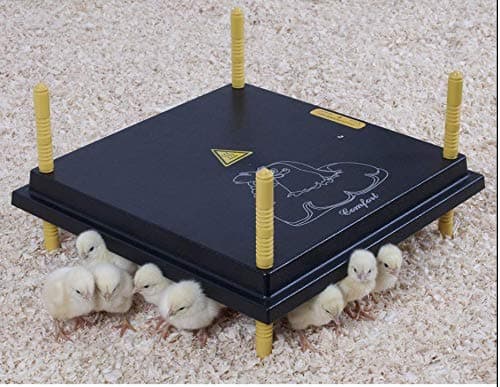 Chick Brooder for upto 20 - Replacement Heat Lamp - Energy Saving