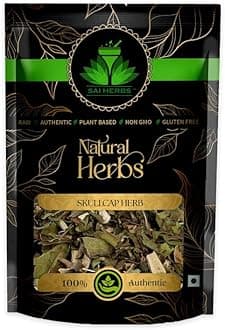 SAI HERBS Skullcap Leaves - For Mental Clarity Herbal Tea - Healthy Lifestyle - Pure & Natural (500 Grams)