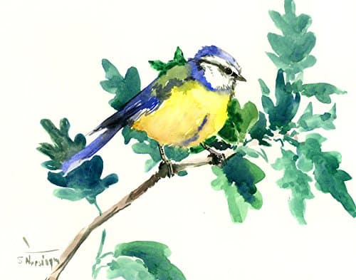 Blue Tit Bird on Oak Tree