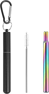 1 Pack Metal Straws, Reusable Straws with 1 Aluminum Case, 1 Cleaning Brush, and 1 Keychains, for Cruise Ship Essentials, Travel Essentials(Black)