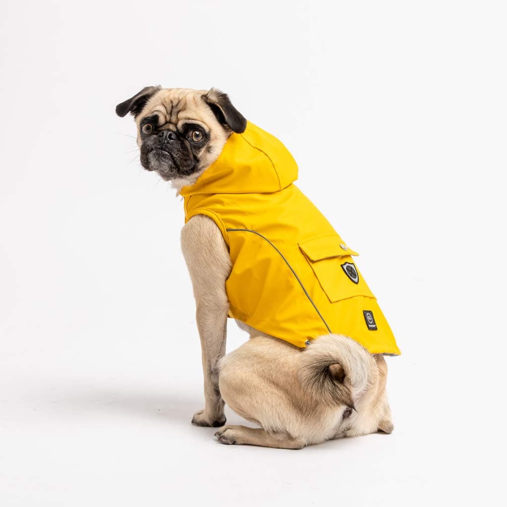 Silver Paw Yellow Rain Jacket for Pets, Extra Large