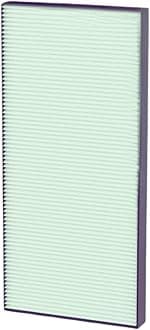 Replacement HEPA Filter for AC Air Purifier - Coated HEPA for Continuous Protection Against PM2.5, PM10, Viruses, & Allergies black