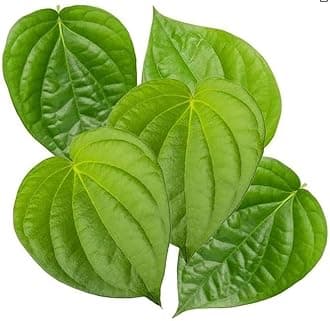 Fresh Paan Leaves (5 Leaves) ~ All Natural | Vegan | Gluten Friendly | NON-GMO | Product of USA
