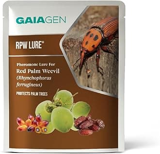 Rpw Lure - Pheromone Lure For Red Palm Weevil (Rhynchophorus Ferrugineus) | Pack Of 5 | (Does Not Include Traps).
