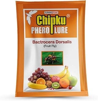 - Fruit Fly Lure Pack of 10 for Fruit Fly Insect Trap for Agriculture for Bactocera Dorsalis Pheromone Fruit Fly Lure for Mango Tree,Papaya, Guava,Chiku,Citrus, All Fruit Crops