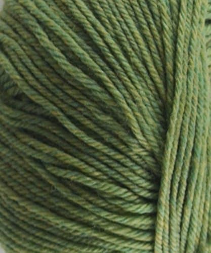 Cascade 220 Superwash 905 Celery