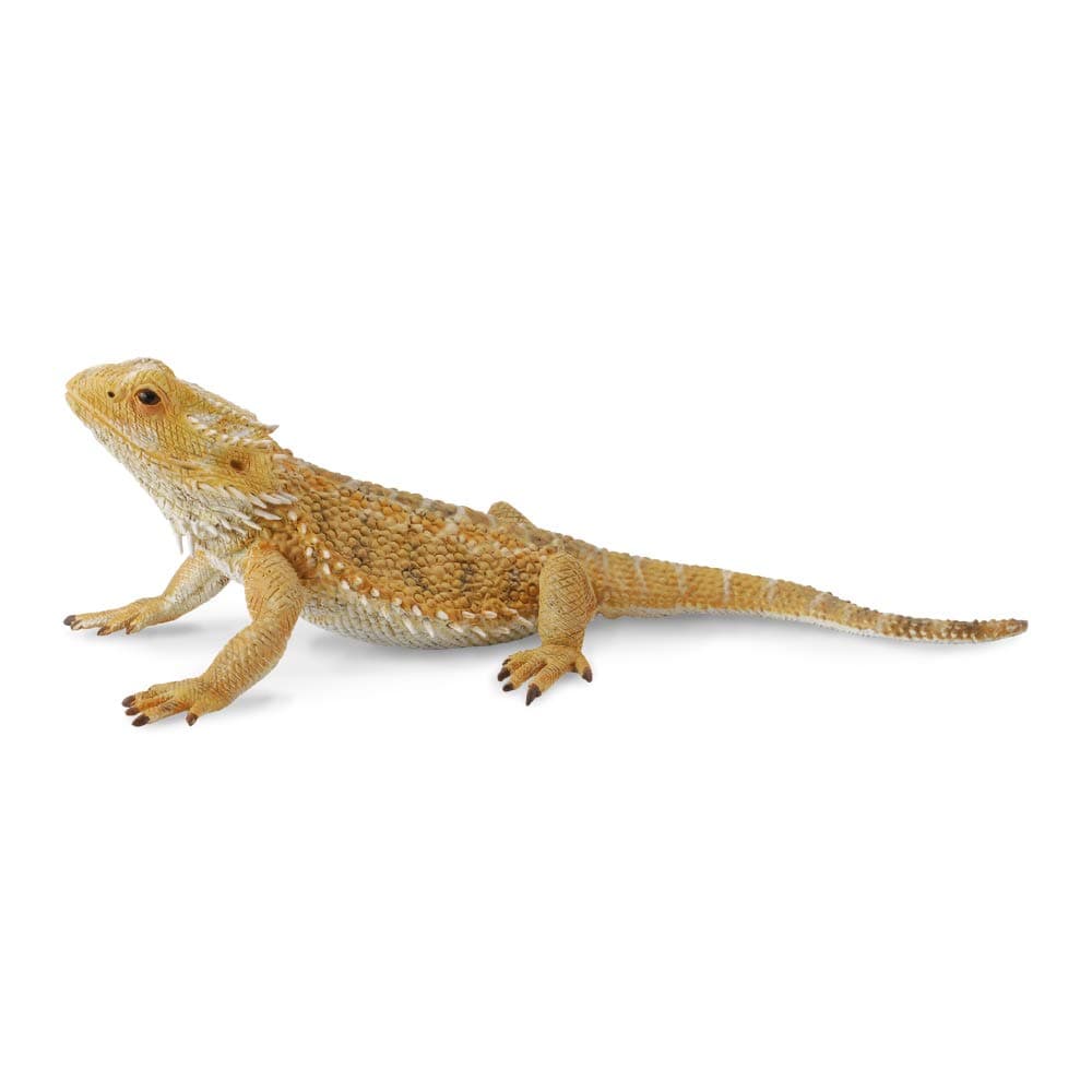 CollectA Bearded Dragon Lizard Figure