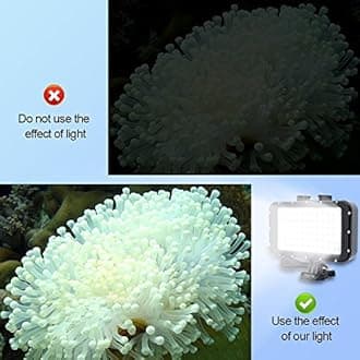 Suptig Underwater Light Dive Light 84 LED High Power Dimmable Waterproof LED Video Light Waterproof 164ft (50m) for Gopro Canon Nikon Pentax Panasonic Sony Samsung SLR Camera Black