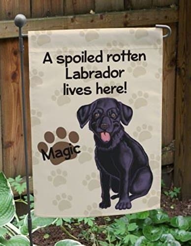 Black Lab Spoiled Rotten Personalized Flag
