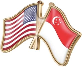 vmcoatdu USA American and Germany Deutschland Friendship Flag Cross Connection Pin Brooch Badge for Hat Cap Clothing Backpack Pin