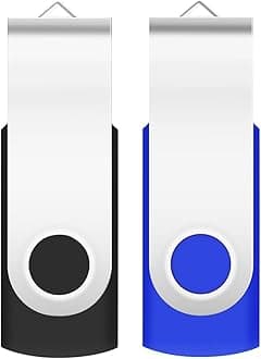 2GB USB Flash Drive 2-Pack EASTBULL USB 2.0 Drive Swivel USB Stick Memory Stick Metal Pen Drive (Black & Blue)