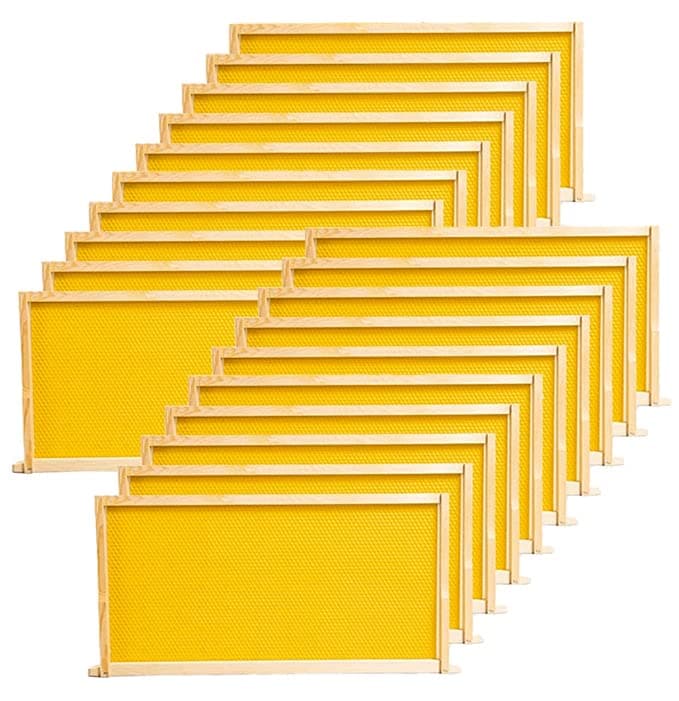 BeeCastle 20 Pack Beehive Frames and Waxed Foundations for Deep Brood Bee Hives with Wooden Bee Hive Frames and Beeswax Coated Foundations, 9-1/8-Inch (Yellow)