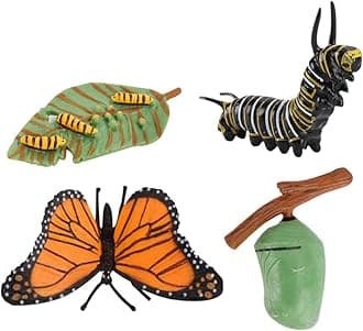 zalati Butterfly Growth Cycle Biological Model Figure Toys for Kids Educational Toys Teaching Tools