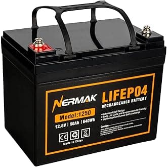 12V 50Ah Lithium LiFePO4 Deep Cycle Battery, 4000+ Cycles Lithium Iron Phosphate Rechargeable Battery for Solar, Marine, Home Energy Storage, Off-Grid Applications and More, Built-in 100A BMS