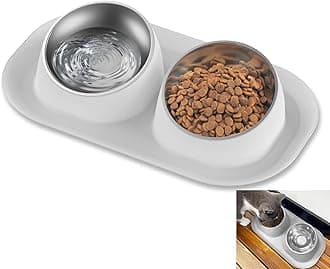 Joyzzz Cat Food and Water Bowl Set, Removable Stainless Steel Bowls with Elevated Stand, Anti-Slip Pet Dishes for Kittens and Adult Cats, Easy Clean Cat Bowls Set