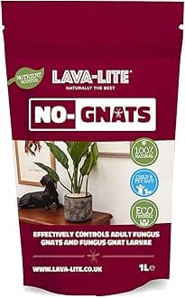 LAVA-LITE no Gnats, Prevents Rodents from Laying Larvae, Keeps Your Plants and Home Naturally Free (1 Liter)