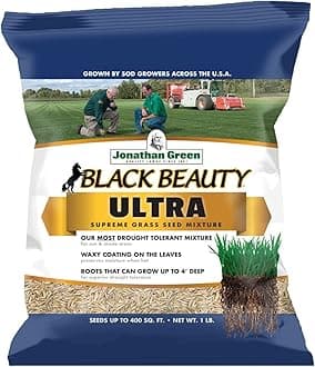 Black Beauty Ultra Grass Seed, 1-Pound