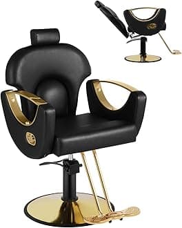 Salon Chair, Reclining Salon Chair for Hair Stylist, Barber Chair with Heavy Duty Hydraulic Pump, Hair Salon Chair Tattoo Chair Braiding Chair Beauty Spa Equipment, Cold Black