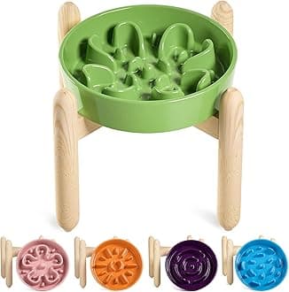 LE TAUCI Ceramic Slow Feeder Dog Bowls Elevated, 3 Cup Raised Bowl with Wooden Stand for Medium Large Breed, Slow Down Eating, Puzzle Dog Food Bowl, Clover Green