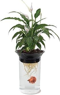 (APON1) Aquaponic Planter and Aquarium for Betta Fish Tank Promotes Healthy Hydroponic Environment for Plants and Fish
