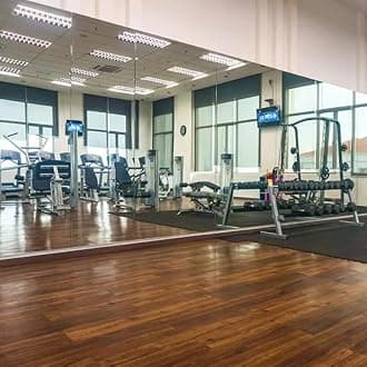 H-A Hans & Alice Gym Mirrors for Home Gym, Wall Mounted Activity Mirrors for Home Gym & Commercial Use 48"x32" (2 Pack)