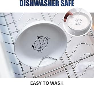 Shallow Elevated Cat Bowls,5.9 Inch Wide Raised Ceramic Cat Dishes with Bamboo Stand, Whisker Friendly Pet Water or Food Plates Feeding Station for Indoor Cats, Kitten(Pink,Set of 2)