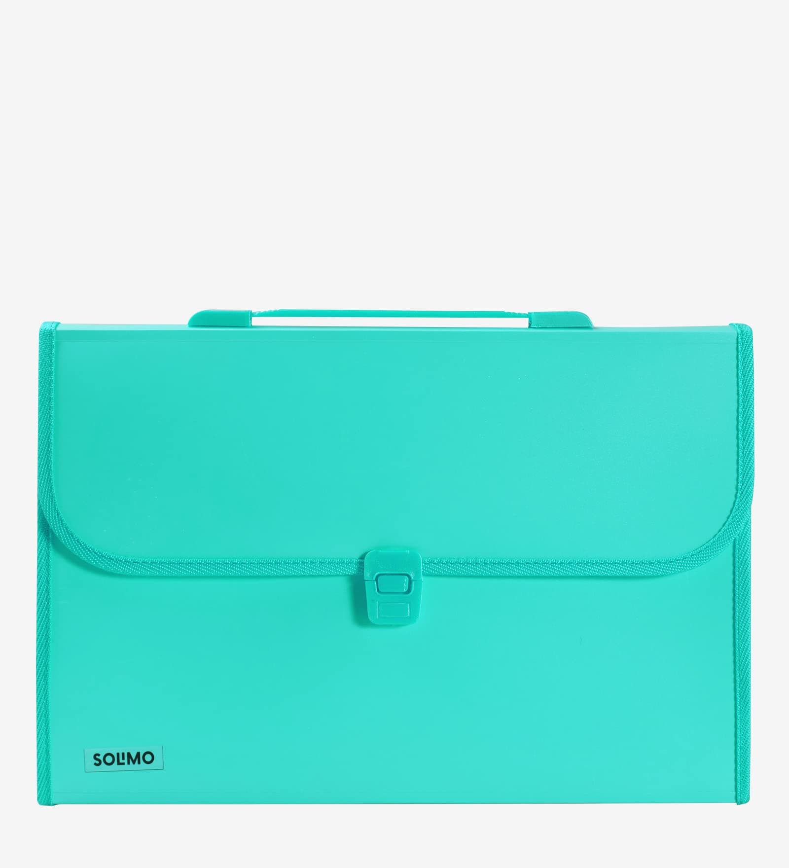 Amazon Brand - Solimo Plastic Expanding File Folder with 13 Pockets, Handle, and Buckle Closure, for A4 Size Documents (Green)