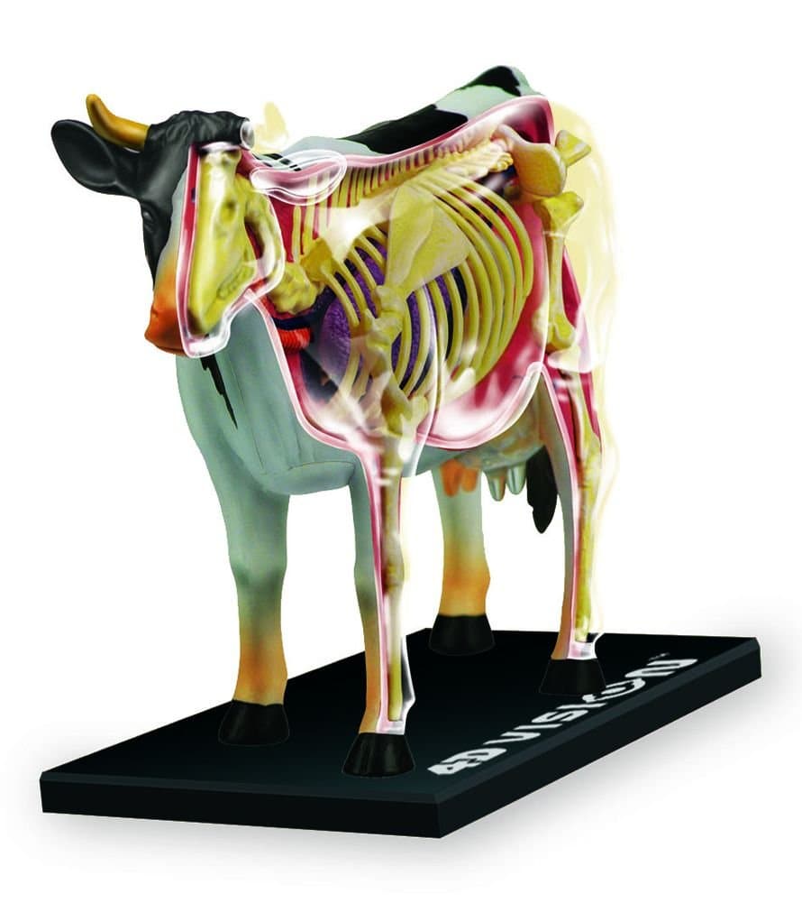 Tedco 4D Vision Cow Model