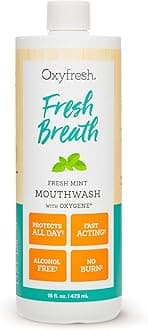 Fresh Breath Fresh Mint Mouthwash – Dentist Recommended for Long-Lasting Fresher Breath & Healthy Gums | Alcohol & Fluoride Free (1-16 oz Bottle)