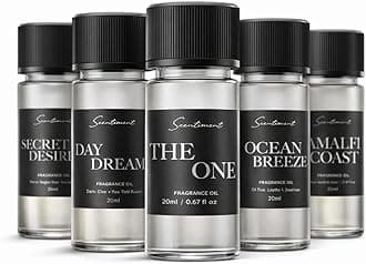 Scentiment Hotel Diffuser Oil Discovery Kit | Inspired by 1 Hotel® Ritz-Carlton® & Luxury Hotel Scents | Aromatherapy Oils with Notes of Cardamom, Tuscan Leather, and Sandalwood (20ml, Top 5 Scents)