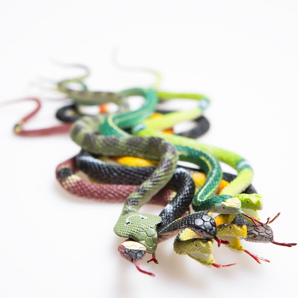 Rhode Island Novelty 12 Rain Forest Snakes, 14"