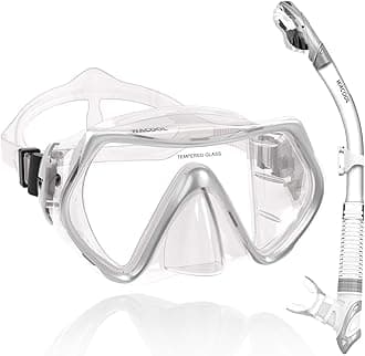 Professional Snorkeling Snorkel Diving Scuba Package Set with Anti-Fog Coated Glass Purge Valve and Anti-Splash Silicon Mouth Piece for Men Women (Adults,Silver)