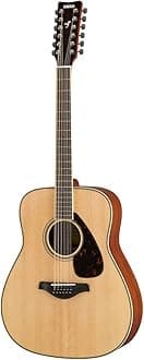 FG820 12-String Solid Top Acoustic Guitar