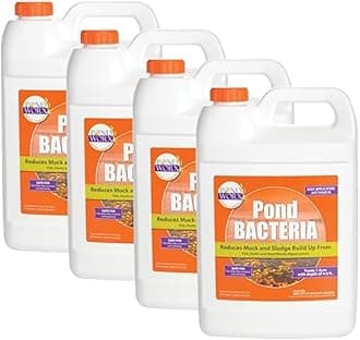 Pondworx Pond Bacteria - Formulated for Water Features and Safe for Koi (4 Gallon Value Pack)