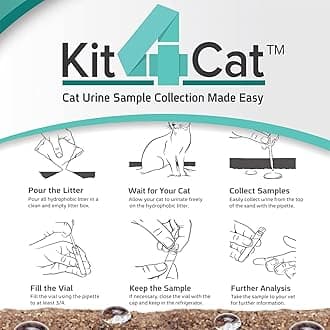 Kit4Cat Hydrophobic Sand 2 lb bag by Kit4Cat