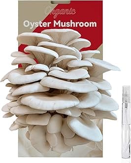 inbloomLarge Organic Oyster Mushroom Growing Kit (4 lbs), Double-Side Mushroom Grow Kit, Fresh Non-GMO Mushroom Kit, Harvest Mushrooms in 10 Days at Home, Indoor Gardening for Adults
