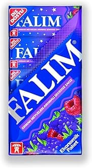 Plain Gum - Forrest Fruits Flavoured- 20 5 = 100 Pieces